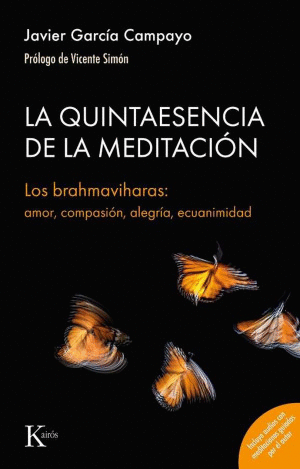 QUINTAESENCIA DE LA MEDITACION, LA